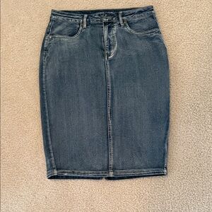 Stylish Blue Denim Pencil Skirt